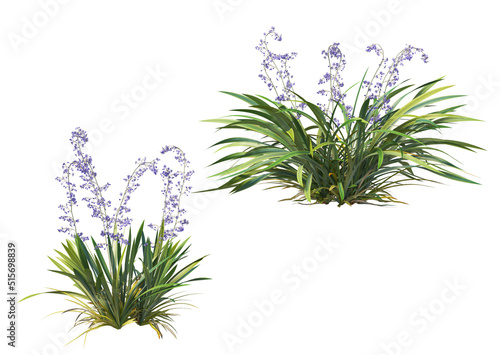 3d render shrub and flowers on a white background