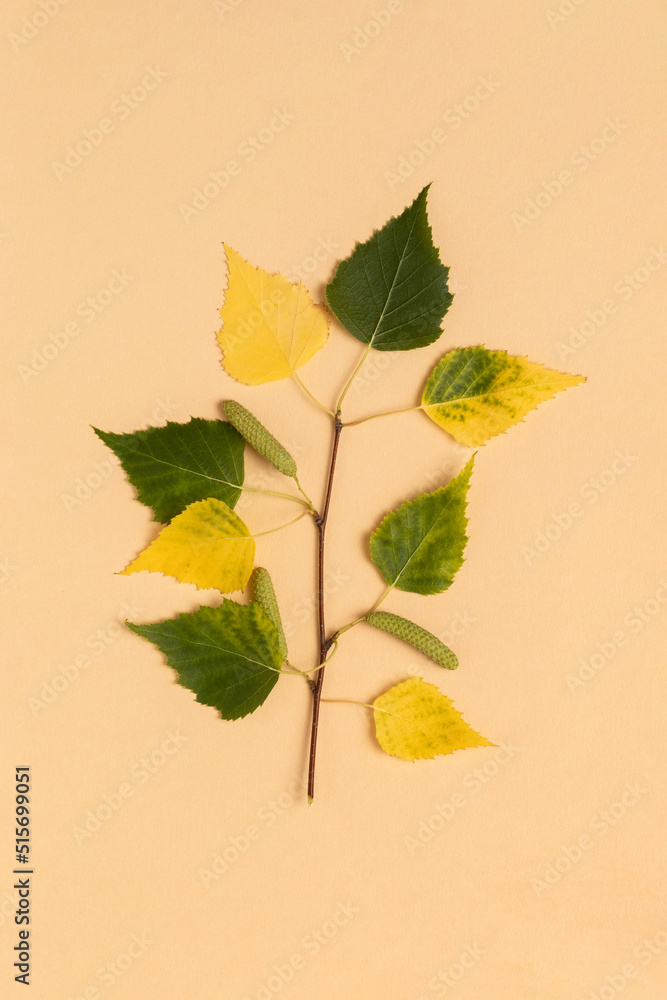 Twig with dry yellow autumn leaves. Top view, minimalist style. Twig with dry yellow autumn leaves. Top view, minimalist style.