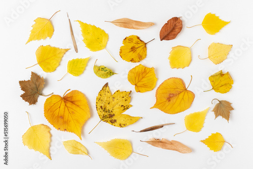 Autumn background from yellow dry leaves. Flat lay.