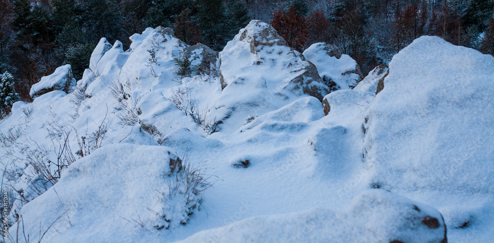 custom made wallpaper toronto digitalGóry