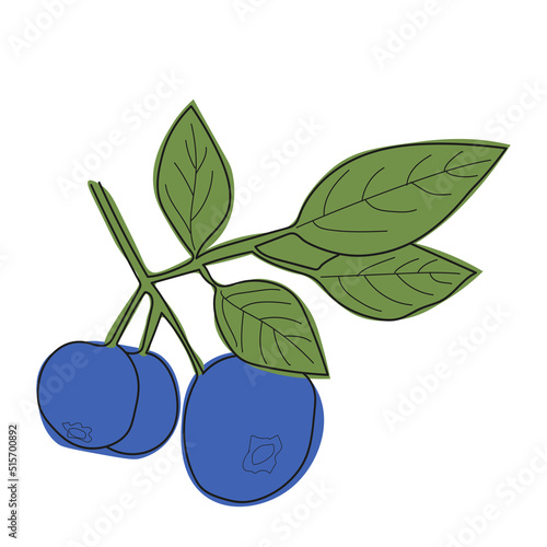 Blueberry branch minimalistic flat and line style.sprig of blueberries with leaves and berries