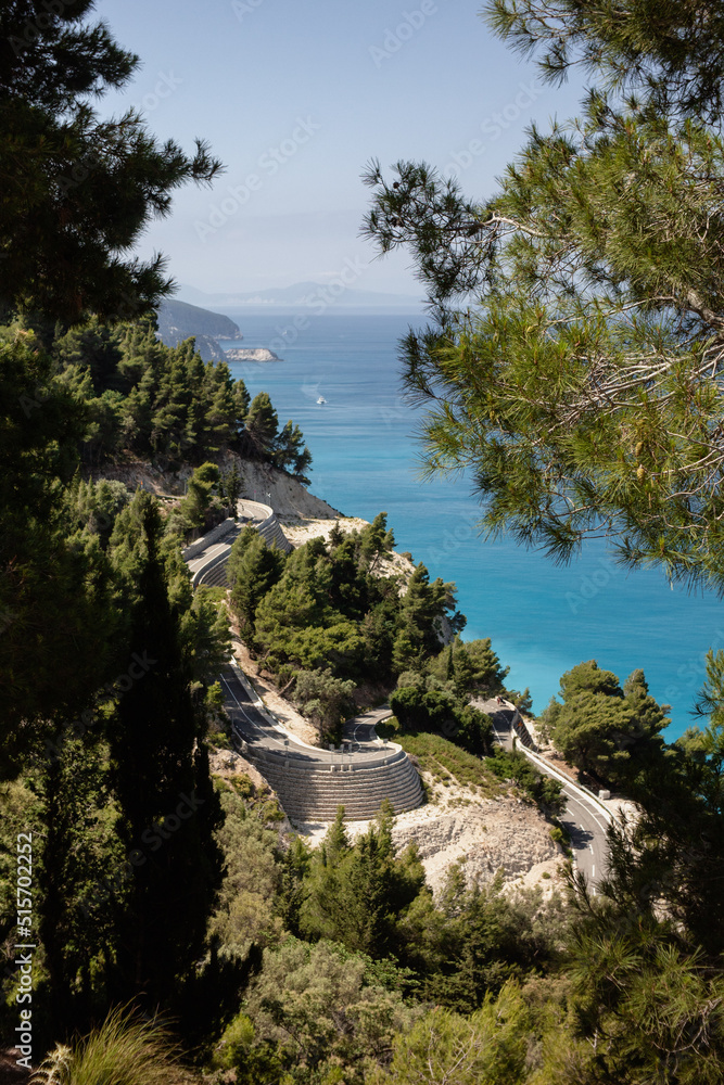 pine trees on a lefkas island coastline during summer vacation in greece
