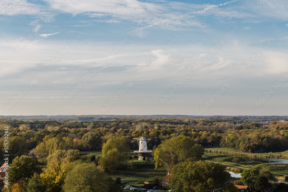 Obraz premium landscape of dutch houses from above, sunset of a sunny day