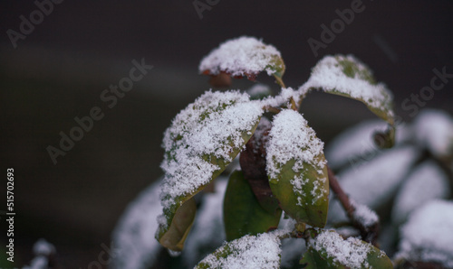 Wallpaper Mural Zima Torontodigital.ca