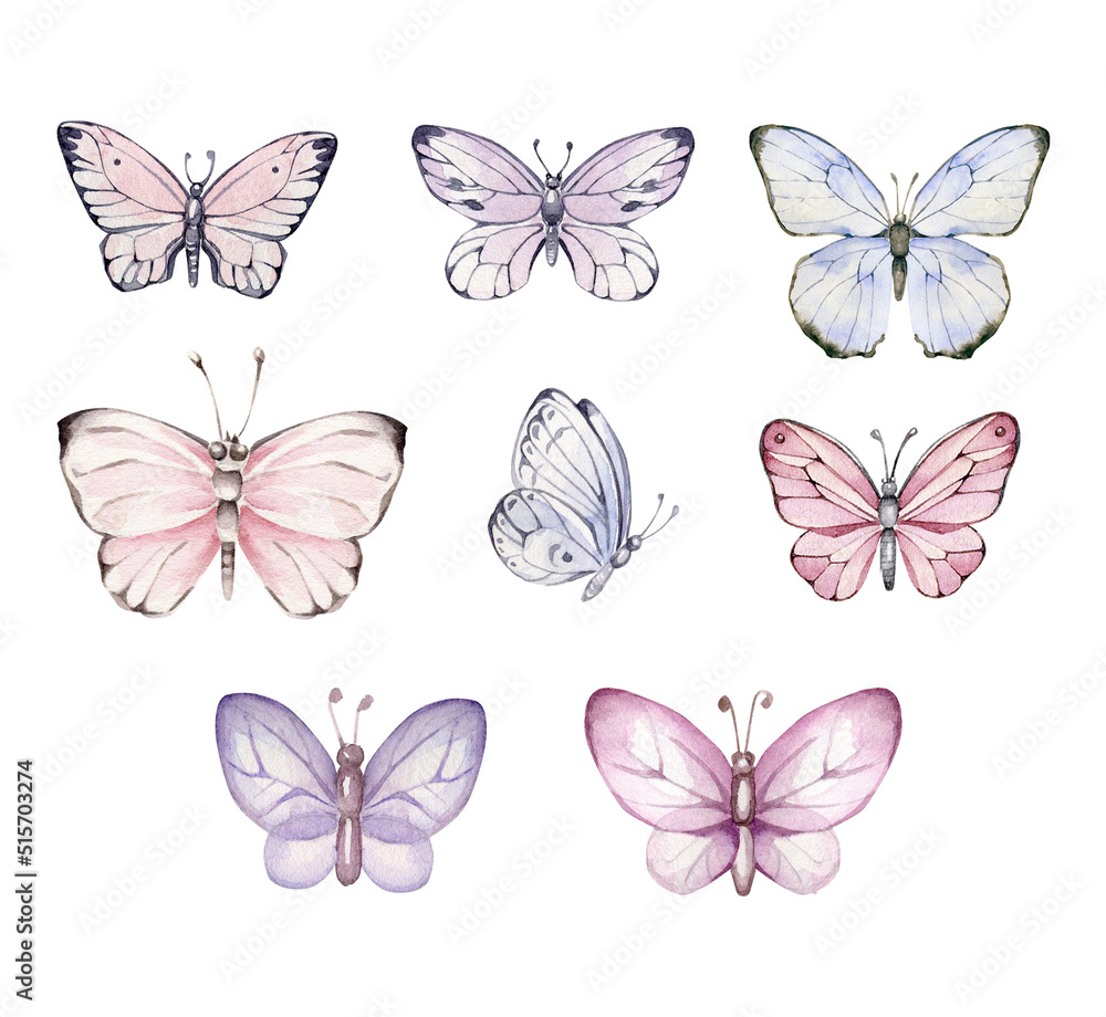 set of butterflies set of butterflies