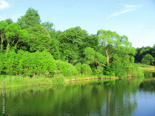 The forest lake is beautiful in summer