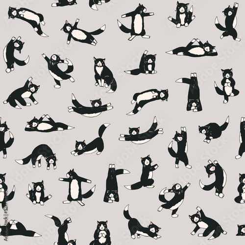 Yoga cats vector seamless pattern