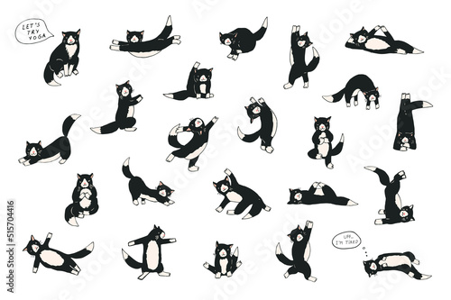 Fototapeta Naklejka Na Ścianę i Meble -  Yoga cats vector illustrations set