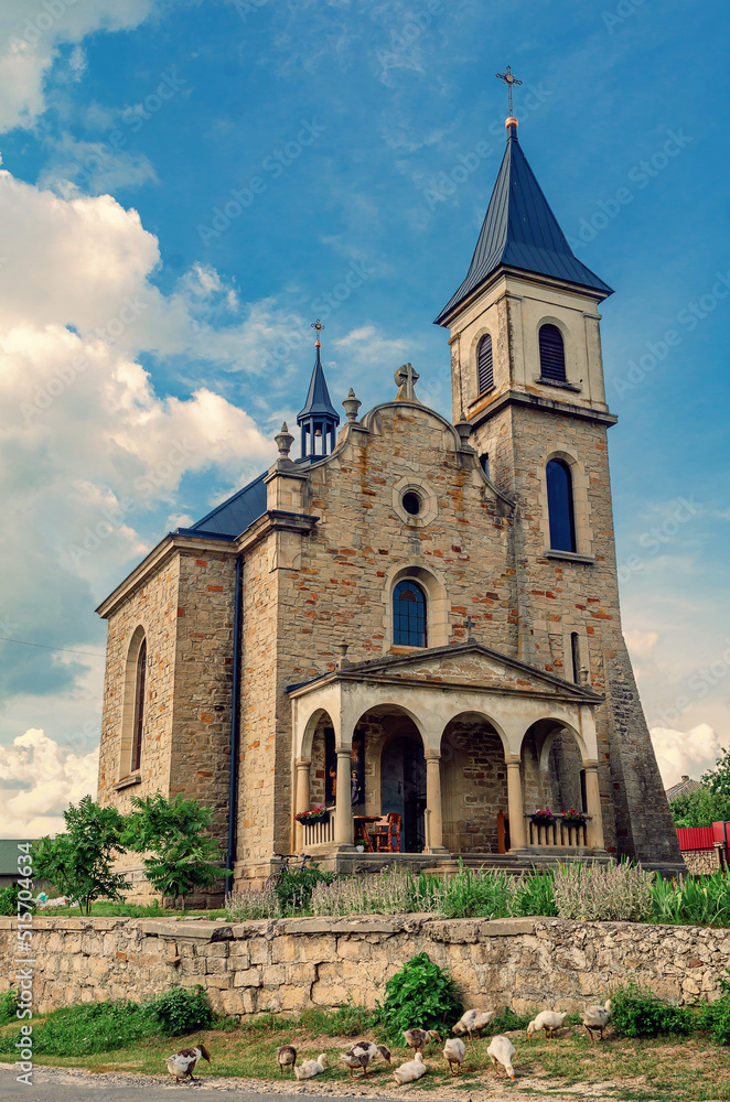 Fototapeta premium Goslings graze near the church. Rural landscape with a stone church on the background of a cloudy sky.