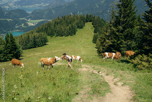 woman petting the cow in the austria mountains during summer holiday vacation © Ondrej Hlavin