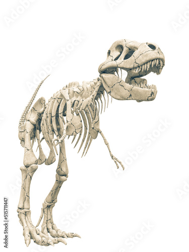 tyrannosaur skeleton looking for food © DM7