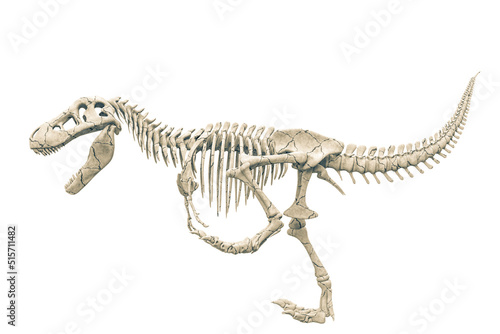 tyrannosaur skeleton running side view