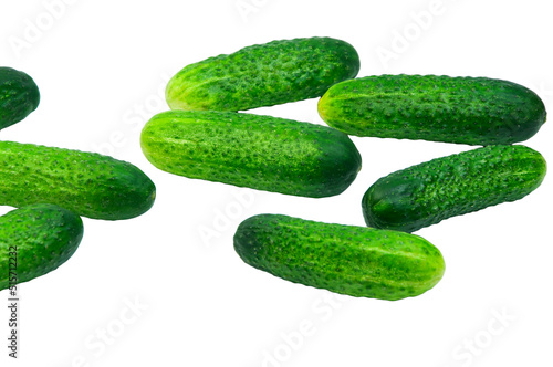 green cucumbers on a white background. ripe gherkins on a table. fresh vegetables on a light texture. the concept of growing cucumbers