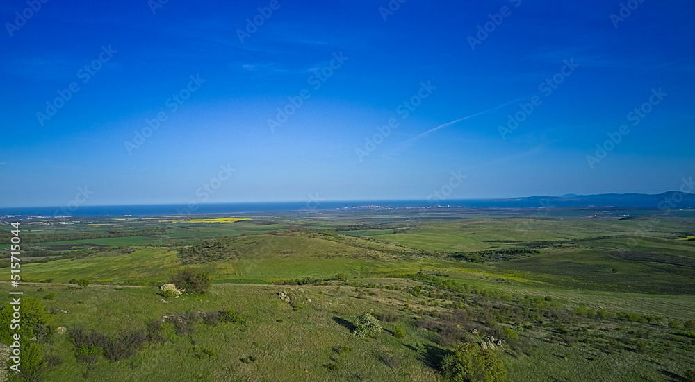 Aerial view of the green agricultural fields of a farm in early spring on a clear sunny day with blue skies. Agricultural and landscape aerial photography