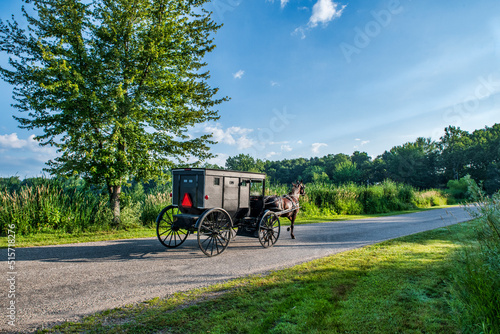 Amish Buggy on rural road in summer