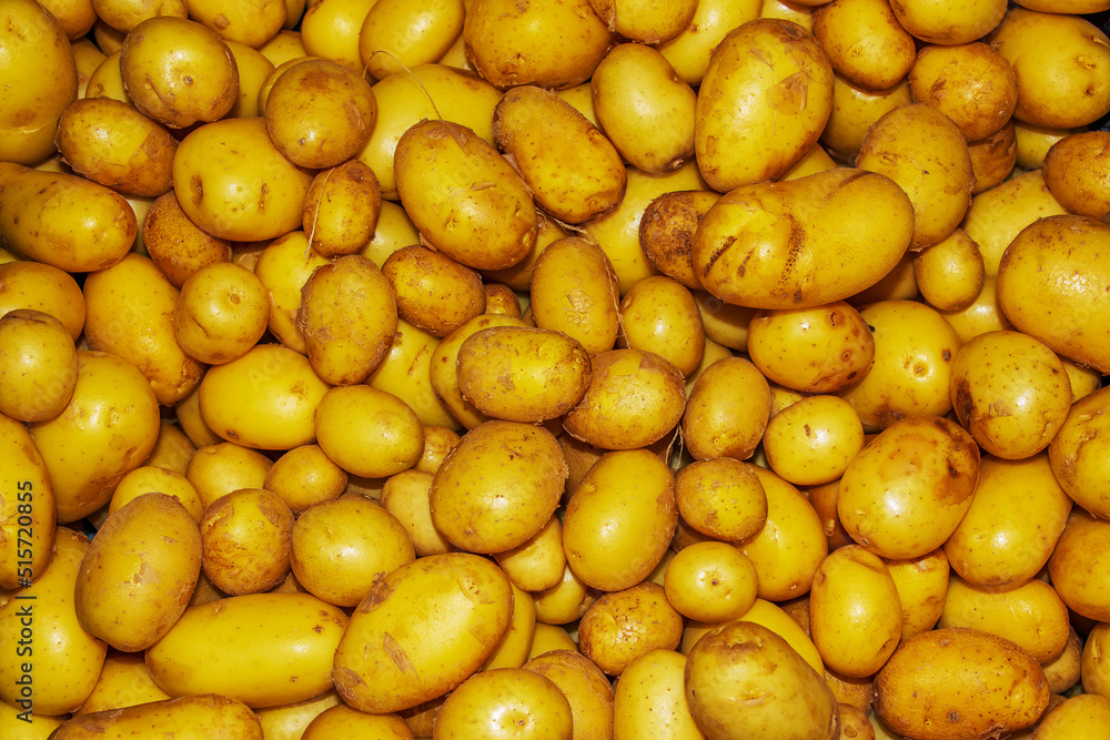 Potato Background In The Traditional Market, Food background. Potatoes harvest concept