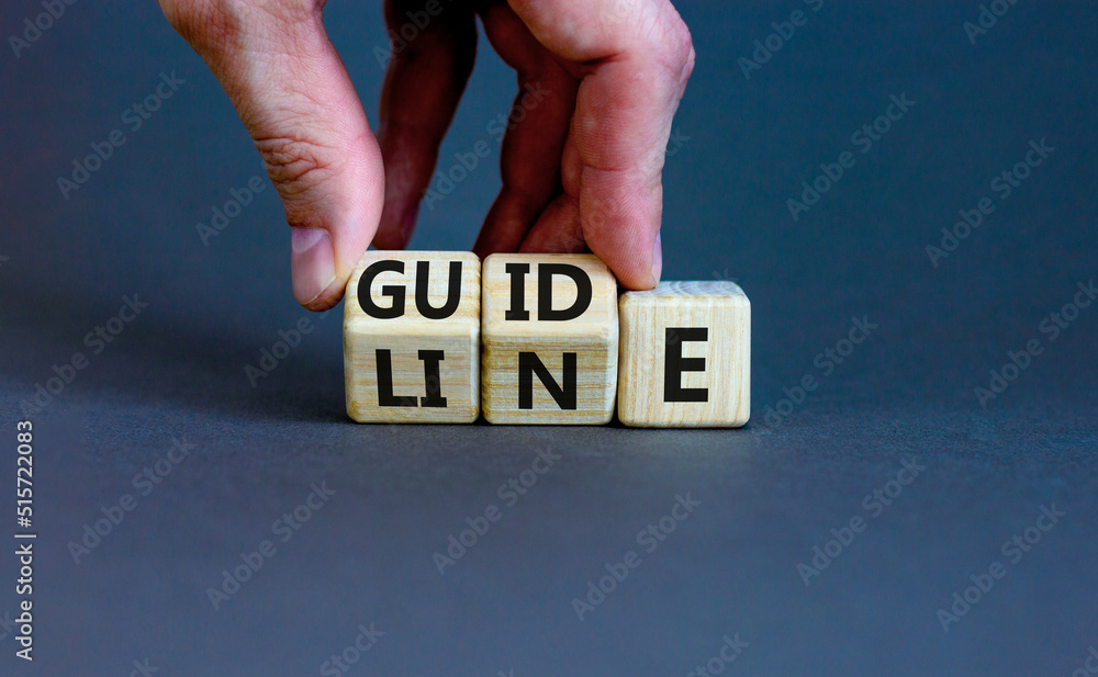 Guideline symbol. Concept word Guideline on wooden blocks. Businessman ...