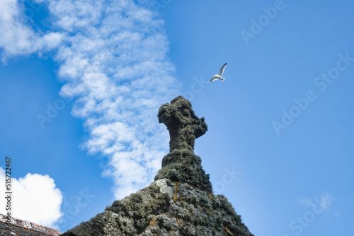 Mossy cross and a seagull