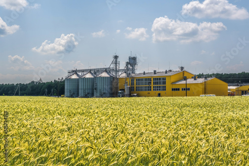 silos and agro-industrial livestock complex on agro-processing and manufacturing plant with modern granary elevator. chicken farm. rows of chicken coop