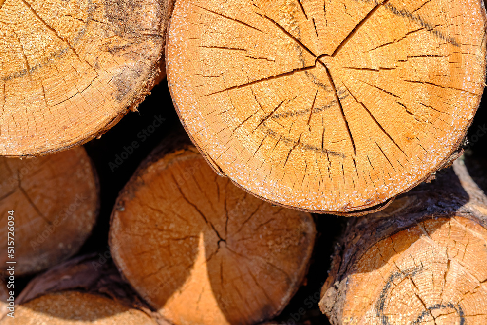 Stack of fresh pine logs on the street, side view, close-up Stack of fresh pine logs on the street, side view, close-up
