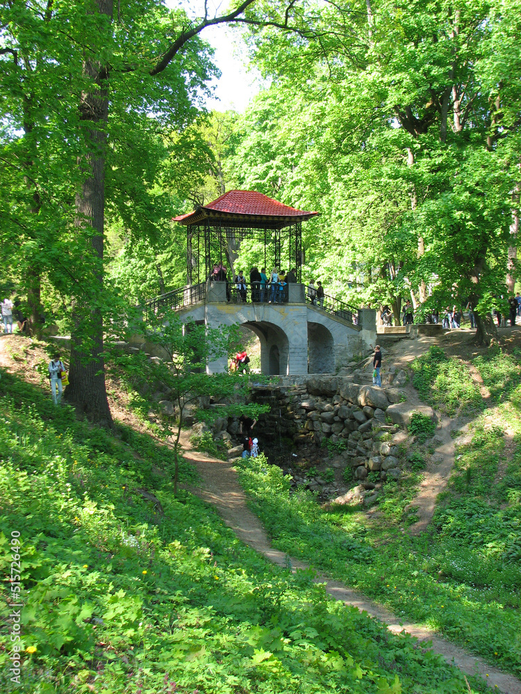 Chinese bridge in the Alexandria park in Belaya Tserkov, Ukraine
Chinese bridge in the Alexandria park in Belaya Tserkov, Ukraine