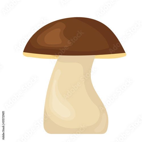 boletus mushroom in flat style, isolated, vector