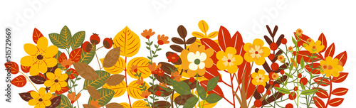 autumn flowers, plants, leaves white background