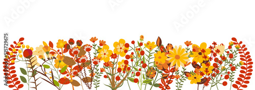 autumn flowers, plants, leaves white background, vector