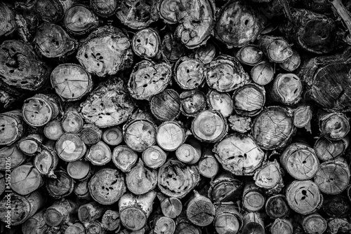 pile of wood in black and white