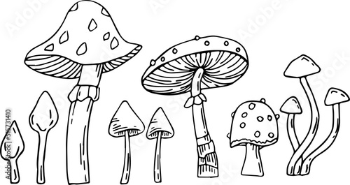Set of hand drawn toadstool mushrooms. Vector illustration.