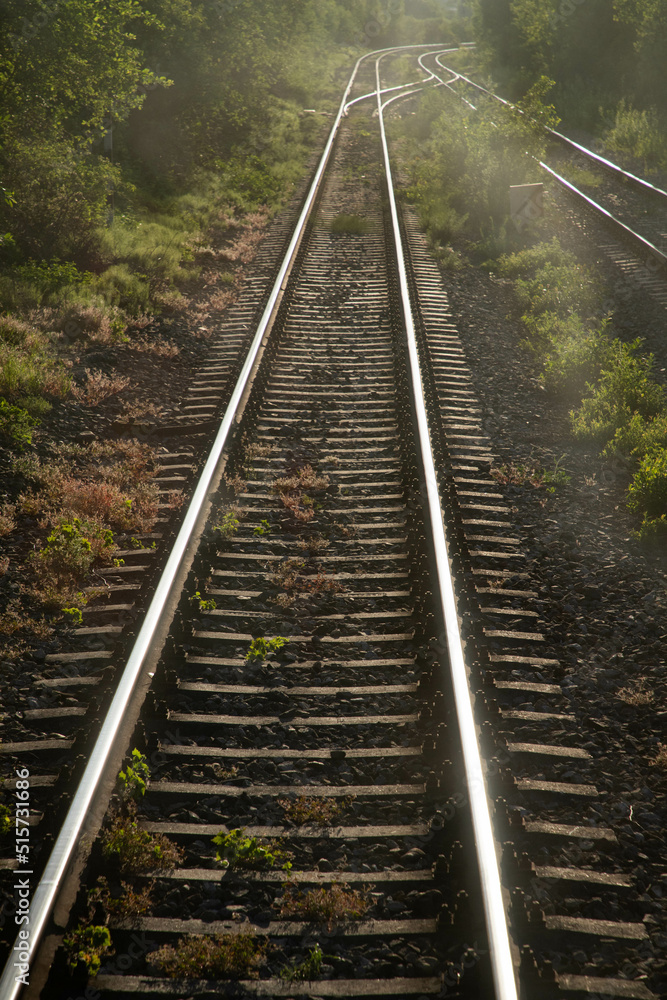 Fototapeta premium train tracks slow travel concept