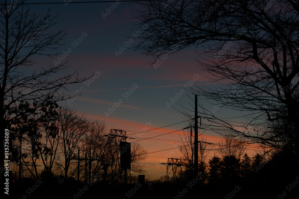 Fototapeta premium sunset in the forest