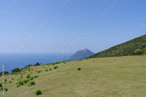 八丈島の牧場から望む海