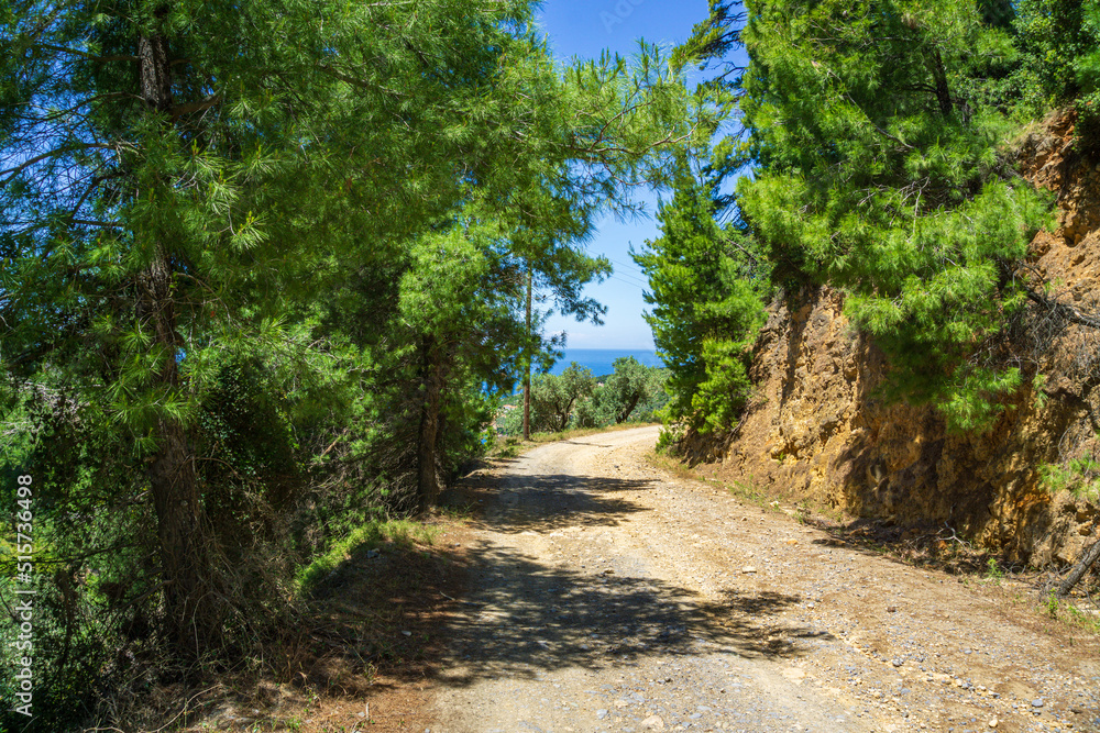Beautiful natural scenery on the road to Megali Ammos or large sand beach in western Alonissos island, Greece Beautiful natural scenery on the road to Megali Ammos or large sand beach in western Alonissos island, Greece