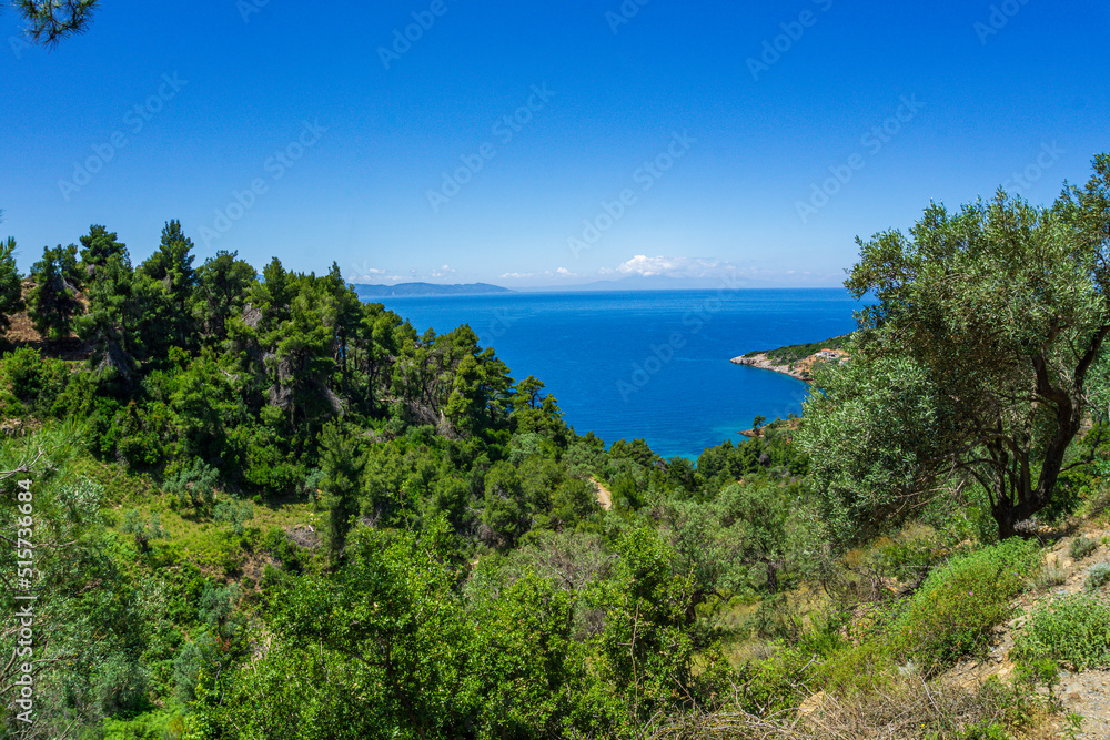 Beautiful natural scenery on the road to Megali Ammos or large sand beach in western Alonissos island, Greece