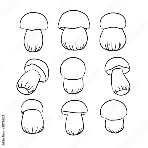 Porcini mushrooms vector illustration set in a linear style. Boletus edulis isolated on a white background. Autumn mushroom collection season.