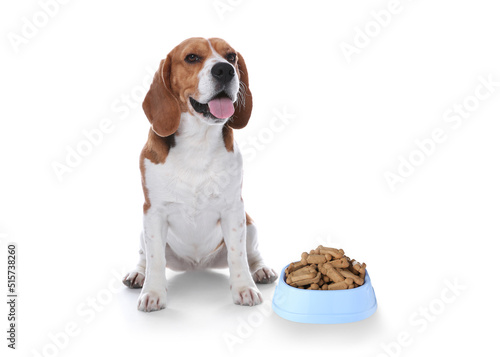 Cute dog near feeding bowl full of tasty bone shaped cookies on white background © New Africa