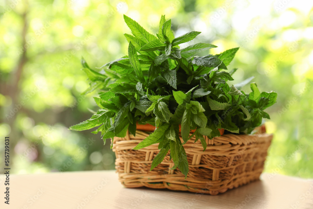 Beautiful green mint in wicker basket on white wooden table outdoors Beautiful green mint in wicker basket on white wooden table outdoors