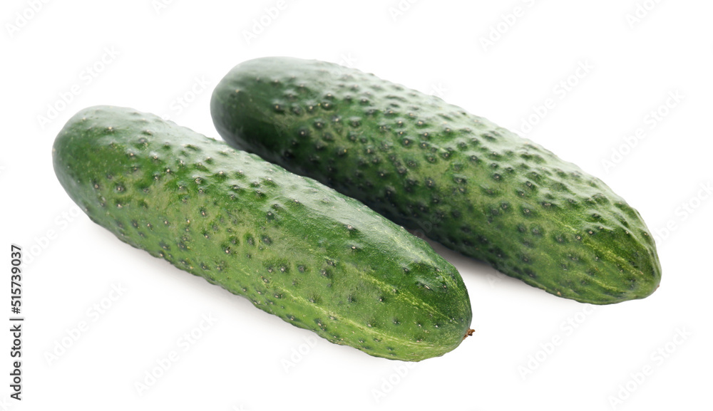 Whole fresh green cucumbers on white background Whole fresh green cucumbers on white background