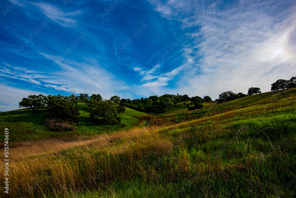 Fototapeta premium Rolling Hills