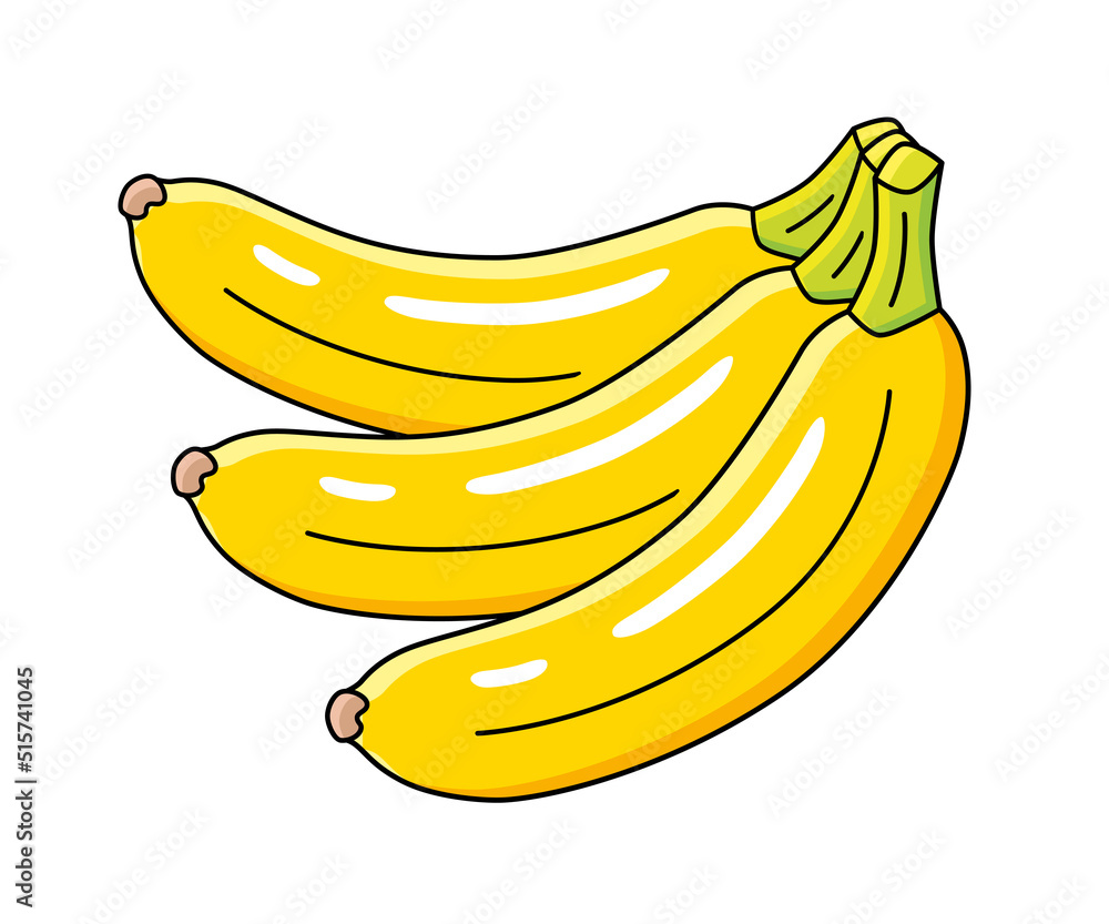 Banana fruits bunch isolated vector