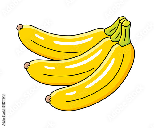 Banana fruits bunch isolated vector