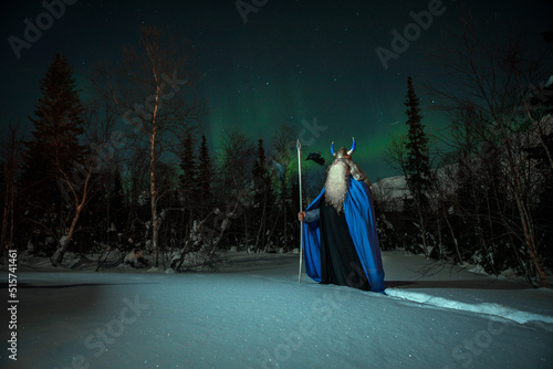 Fototapeta God Odin against the background of the starry sky and northern lights