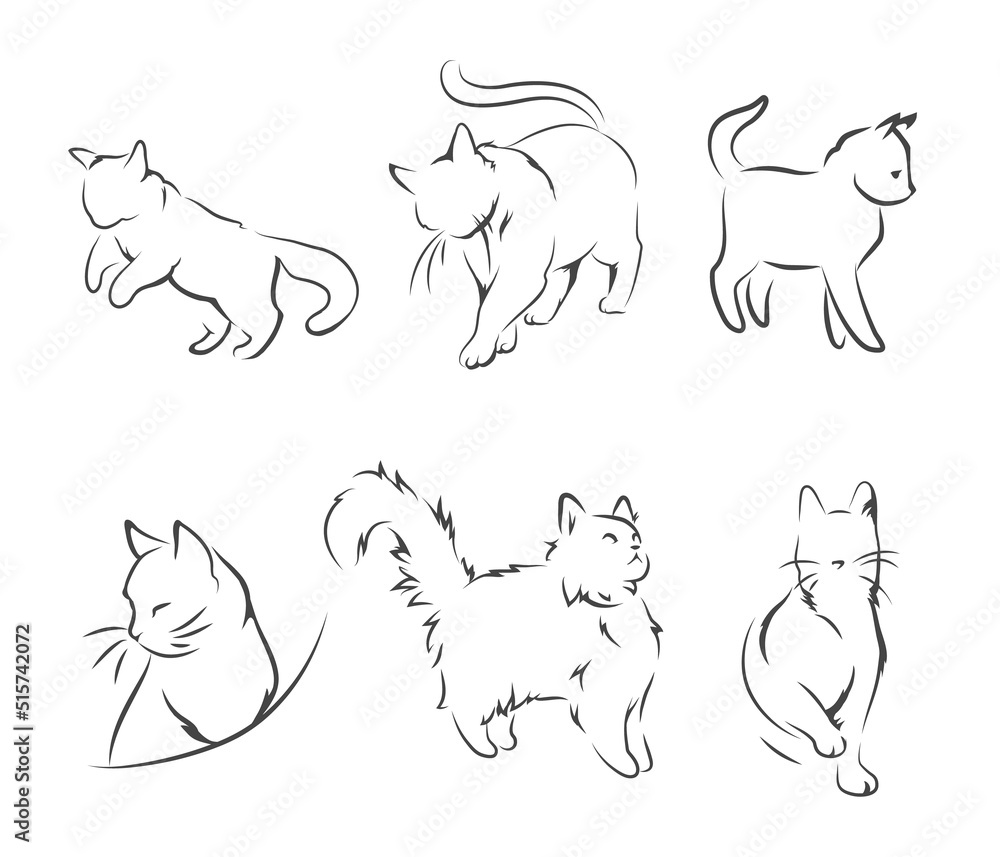 Cats in the form of abstract lines on a white background. Vector illustrations