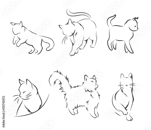 Cats in the form of abstract lines on a white background. Vector illustrations