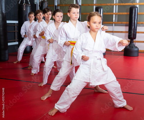 Karate kids in kimono performing kata moves in gym during group training.