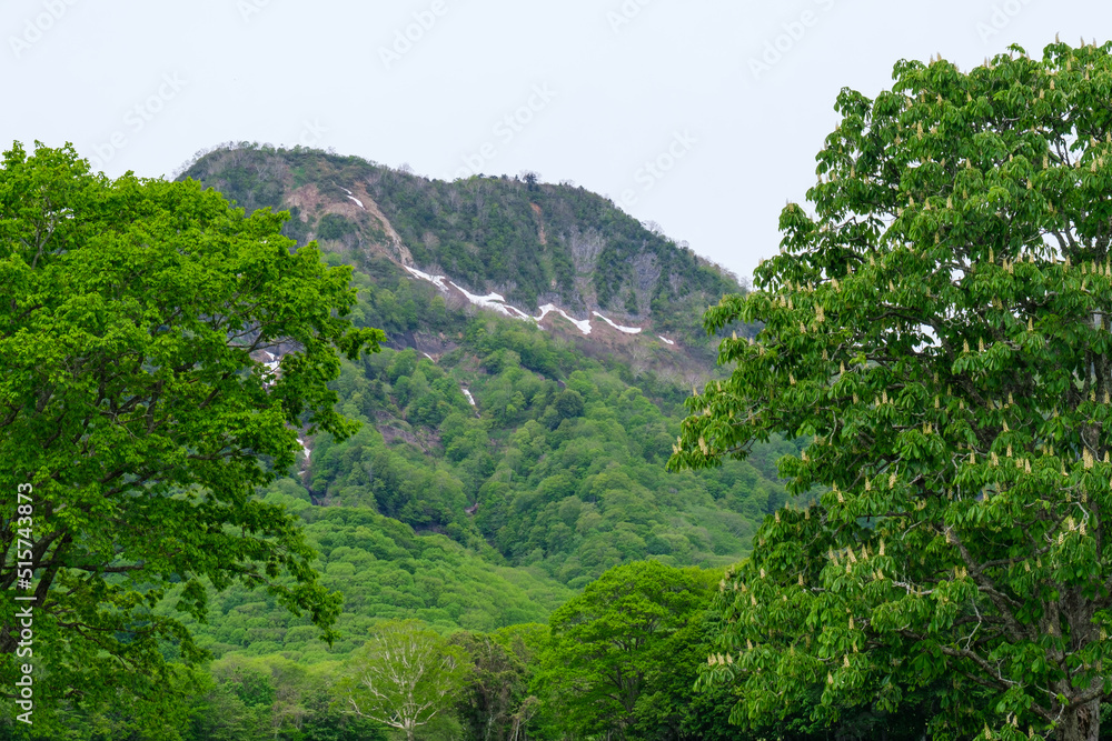 Naklejka premium 戸隠山と残雪