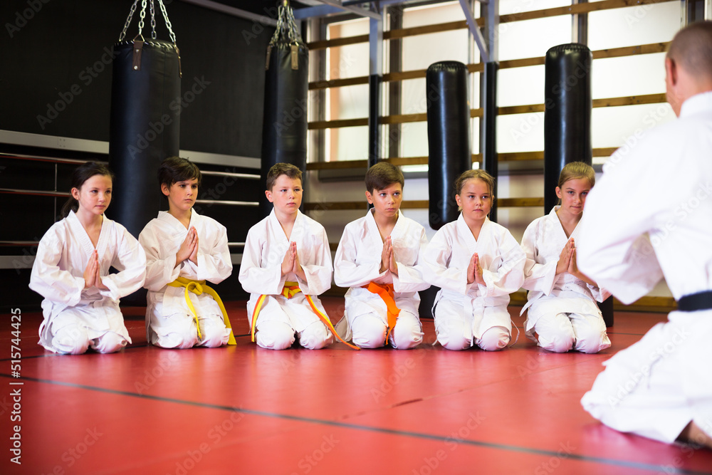 Group of karate kids in white kimono kneeling in front of their trainer on gym floor. - obrazy, fototapety, plakaty 