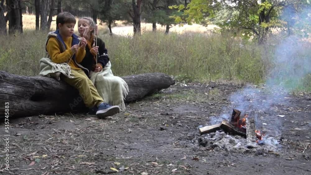 Two little kids boy and girl making barbecue on the grill on nature Two little kids boy and girl making barbecue on the grill on nature