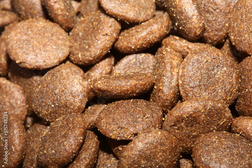 Dogs dry round food close up animals eating background high quality big size print